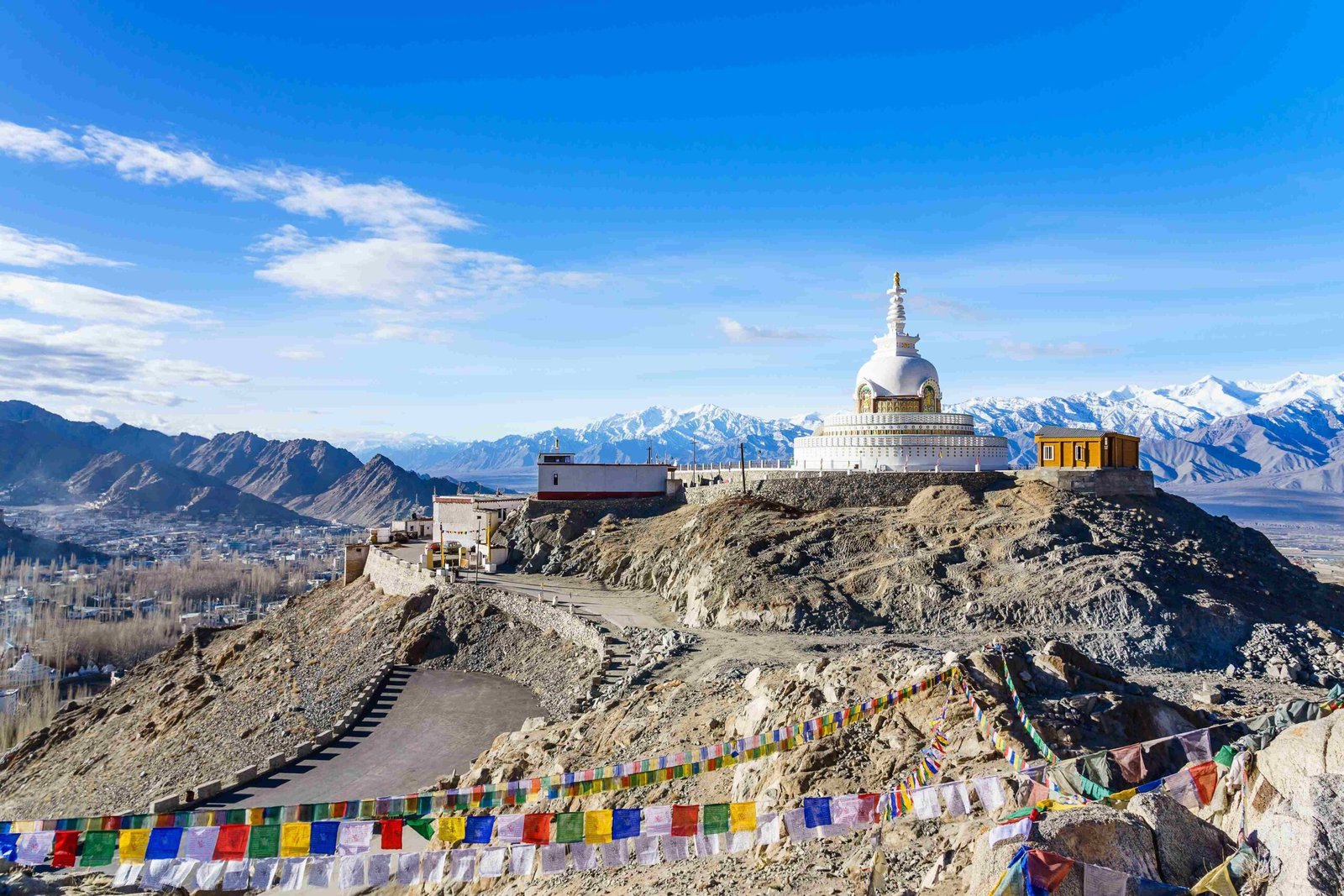 Ladakh mountain landscape